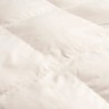 خانه|پد تشک برند اتللو مدل Comfort Maya 180*200