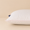 خانه|بالش مدل Piumino 80 Twin Soft Maya برند Othello