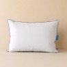 بالش|بالش پر غاز مدل Clima Sleep Downa برند Othello