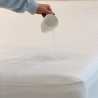 خانه|محافظ تشک Cotton Maya برند Othello