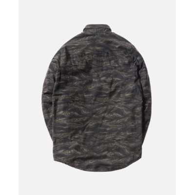 هنر|گرافیک وکتور - خرس قهوه ای